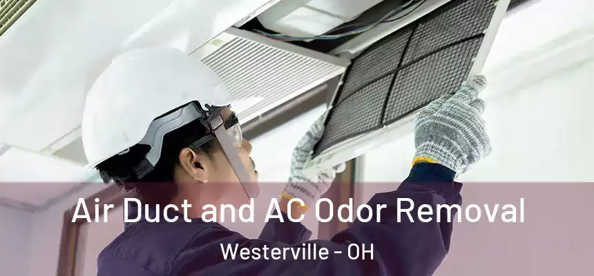  Air Duct and AC Odor Removal Westerville - OH