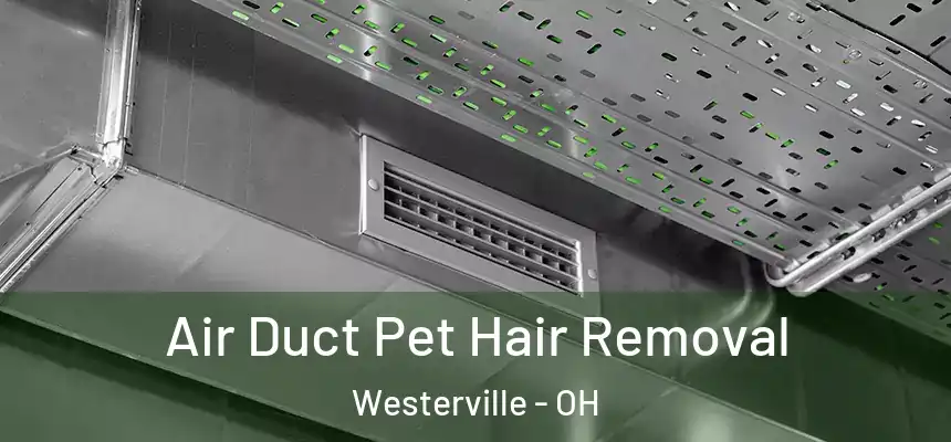 Air Duct Pet Hair Removal Westerville - OH
