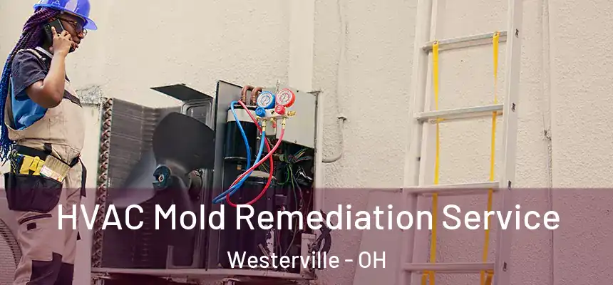  HVAC Mold Remediation Service Westerville - OH