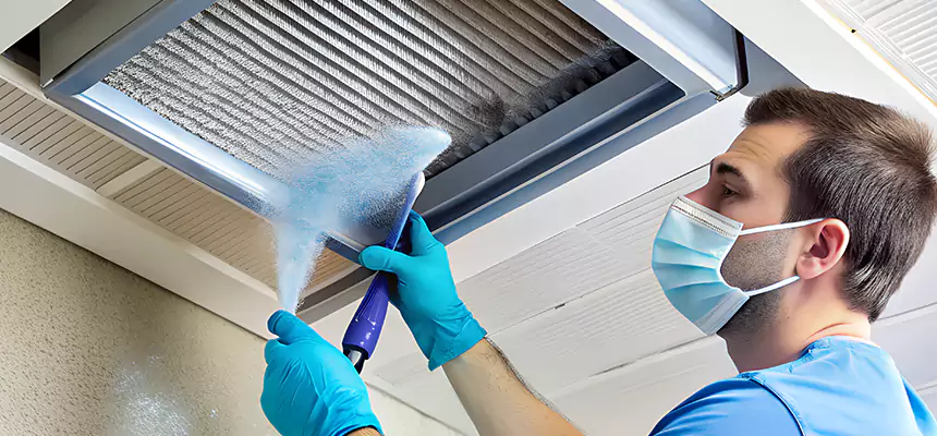 Proactive Dryer Vent & Auxiliary Duct Pollen Cleanup in Westerville, OH