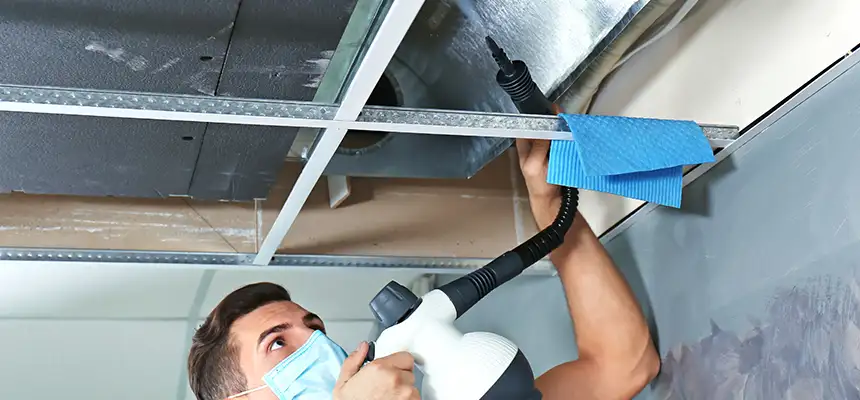 Our Air Duct Rodent Removal Services in Westerville, OH