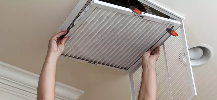 Our Insect Removal from Air Ducts Services in Westerville, OH