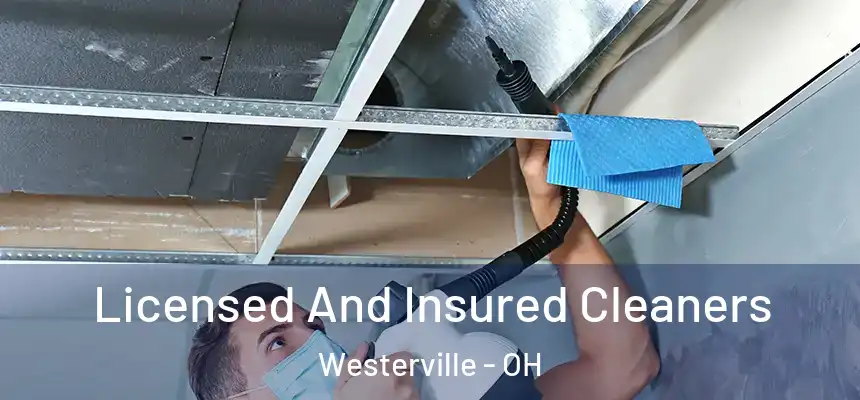 Licensed And Insured Cleaners Westerville - OH