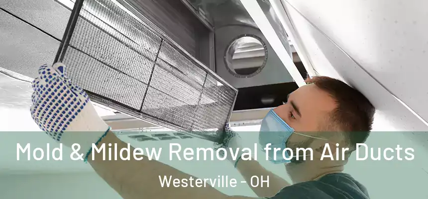  Mold & Mildew Removal from Air Ducts Westerville - OH