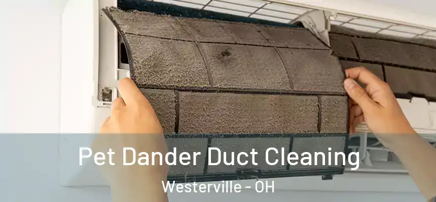  Pet Dander Duct Cleaning Westerville - OH