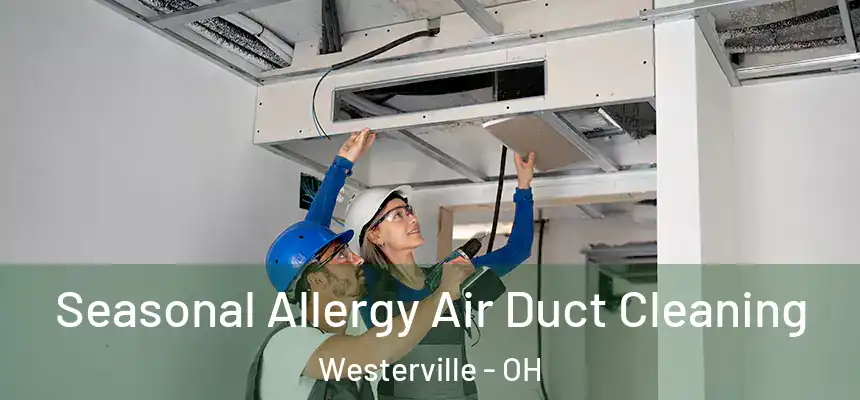 Seasonal Allergy Air Duct Cleaning Westerville - OH
