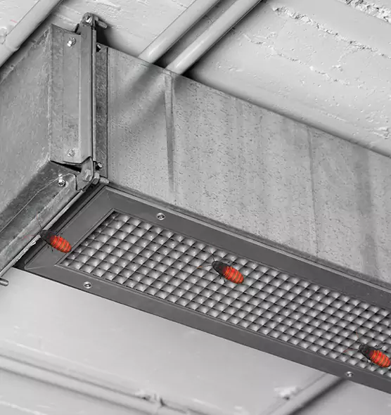 About Air Duct Cockroach Removal in Westerville, OH